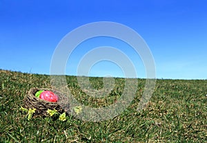 Easter nest