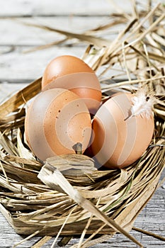 Easter nest, eggs in straw