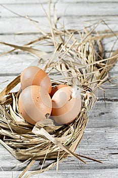 Easter nest, eggs in straw