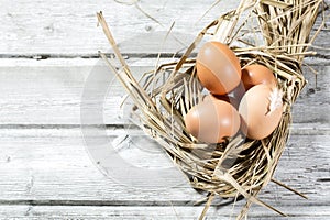 Easter nest, eggs in straw