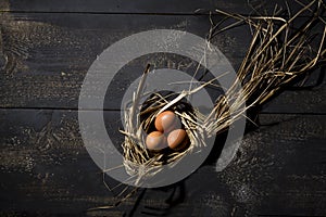 Easter nest, eggs in straw
