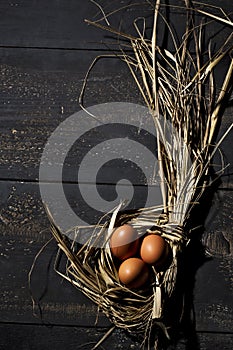 Easter nest, eggs in straw