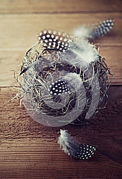 Easter nest with spotted feathers