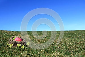 Easter nest