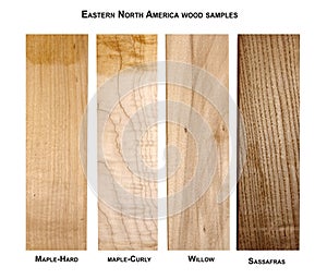 Easter North America wood samples