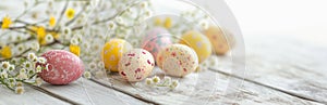 Easter painted eggs and flowers on wooden background. Bright colors, spring mood