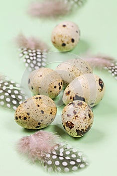 Easter picture with quail eggs and guinea fowl feathers on a green background.