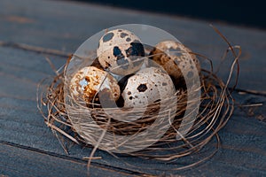 Easter poster and banner. bird nest and eggs on a wooden board