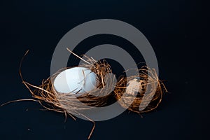 Easter poster and banner. bird nest and eggs on a wooden board