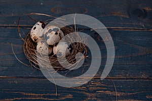 Easter poster and banner. bird nest and eggs on a wooden board