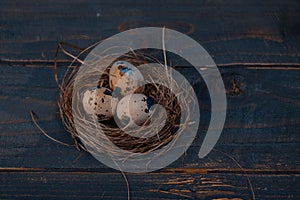 Easter poster and banner. bird nest and eggs on a wooden board