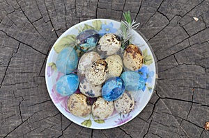 Easter quail eggs