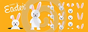 Easter Rabbit Collection. Easter Cartoon Bunny Set.