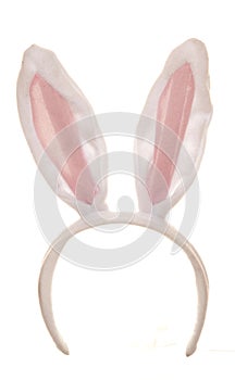 Easter rabbit ears