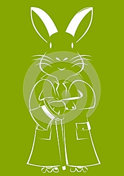 An Easter Rabbit on Happy Easter Card.