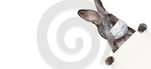 Easter rabbit with medical mask at epidemic time