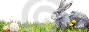 Easter rabbit with medical mask at epidemic time