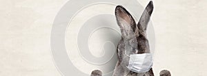 Easter rabbit with medical mask at epidemic time