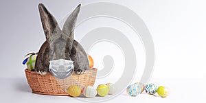 Easter rabbit with medical mask at epidemic time