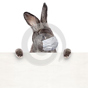 Easter rabbit with medical mask at epidemic time