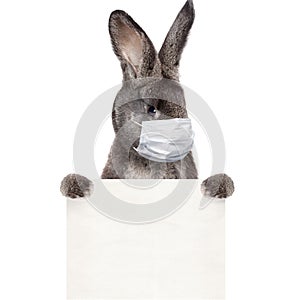 Easter rabbit with medical mask at epidemic time