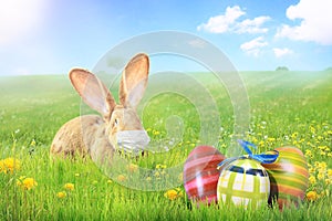 Easter rabbit with medical mask at epidemic time