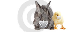 Easter rabbit with medical mask at epidemic time