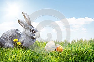 Easter rabbit with medical mask at epidemic time