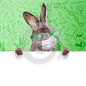 Easter rabbit with medical mask at epidemic time