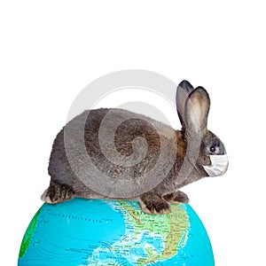 Easter rabbit with medical mask at epidemic time
