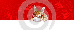 Easter rabbit with medical mask at epidemic time