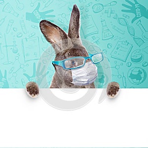 Easter rabbit with medical mask at epidemic time