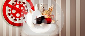 Easter rabbit with medical mask at epidemic time