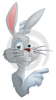 Easter rabbit pointing at sign