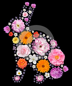 Easter rabbit silhouette with floral pattern.