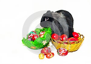 Easter rabbit and two baskets with Easter eggs