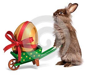 Funny Easter rabbit with a wheelbarrow and golden