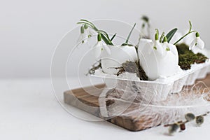 Easter rustic still life. Easter egg shells with blooming snowdrops, feathers, moss on aged white wooden table. Simple stylish