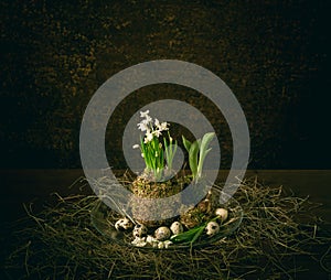 Easter scene with eggs and flower
