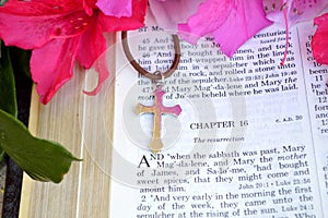 Easter scripture closeup with bright pink azaleas