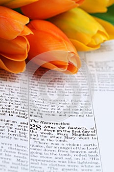 Easter scripture in Matthew 28