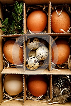 Easter set in a box of eggs, cupcakes and festive decorations