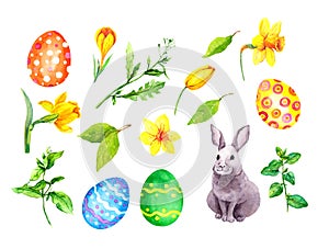 Easter set - bunny, eggs, spring flowers, green grass and flowers. Watercolor clip art collection of elements for