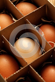 Easter set in a carton box of chicken eggs