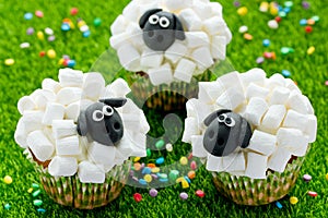 Easter sheep cupcakes on green grass background