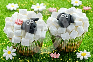 Easter sheep cupcakes on green grass background, homemade cakes shaped funny sheeps with marshmallow
