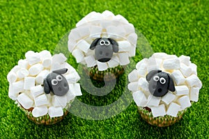 Easter sheep cupcakes on green grass background, homemade cup cakes shaped funny sheeps with marshmallow