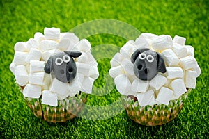 Easter sheep cupcakes on green grass