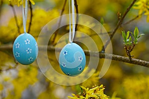 Easter shrub in the garden