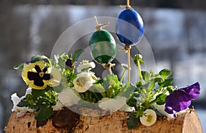 Easter snow-covered box with pansy, eggs and daisy